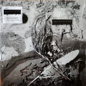 David Sylvian – Secrets Of The Beehive