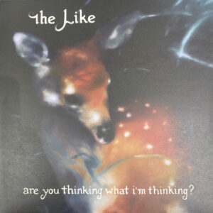 The Like – Are You Thinking What I'm Thinking?