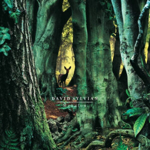 David Sylvian – Manafon