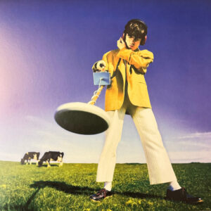 Declan McKenna – What Happened to the Beach?