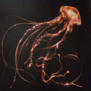 Royal Blood  – Back To The Water Below