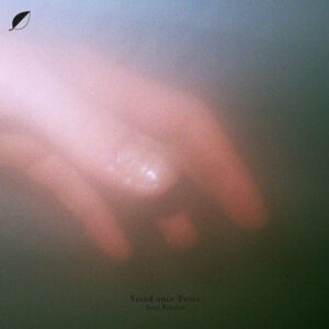 Sean Piñeiro – Saved Once Twice