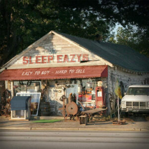 The Sleep Eazys – Easy To Buy - Hard To Sell
